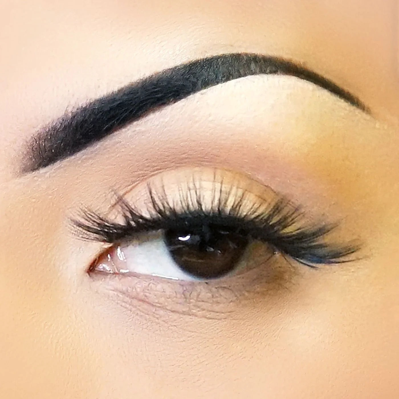 Fabulashes 3D Faux Mink False Eyelashes Style A66