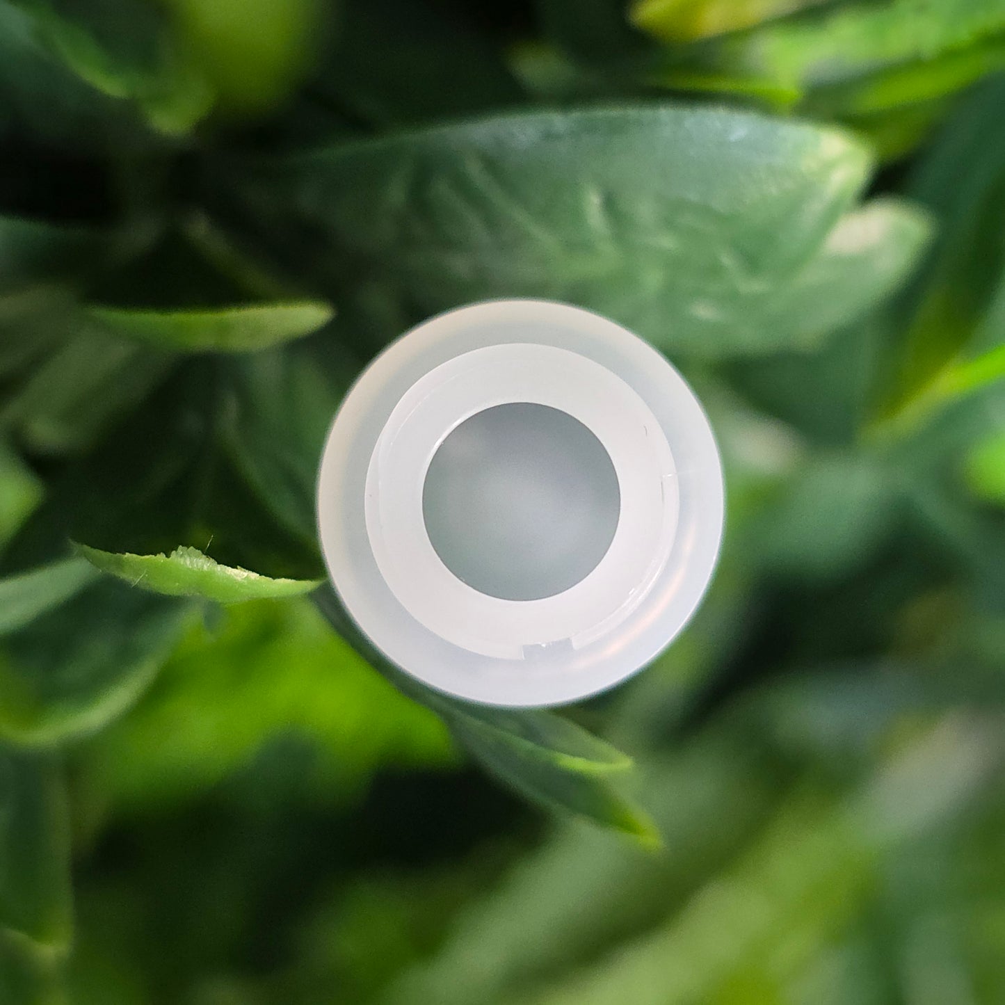 theMUAproject 6ml White Ribbed Top Bottle