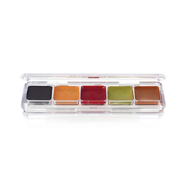 Ben Nye Alcohol Activated Waterproof Palette Tooth Palette AAP-05 Tooth FX