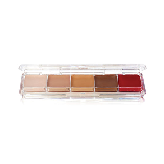 Ben Nye Alcohol Activated Waterproof Palette Tattoo Cover AAP-21