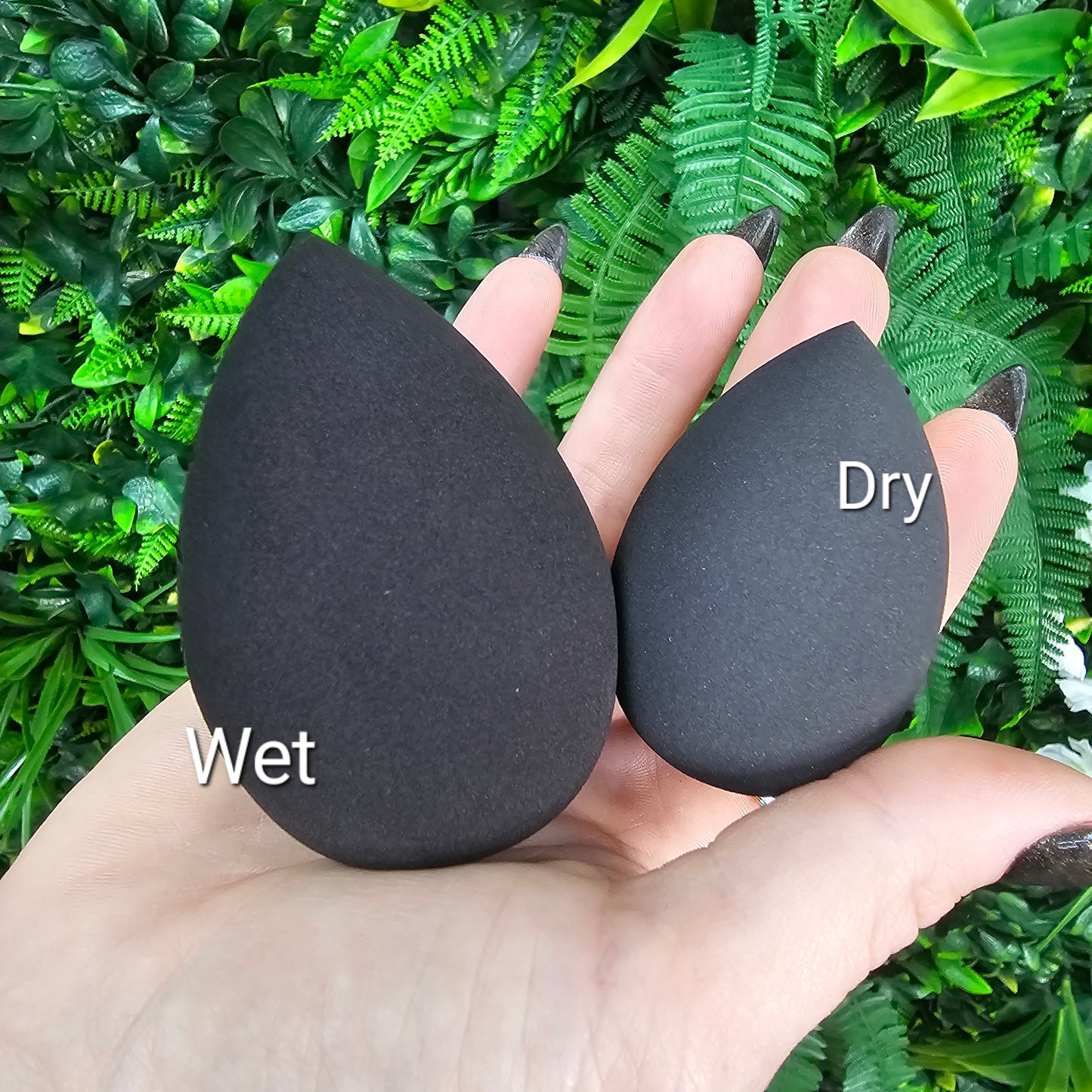 theMUAproject Assorted Egg Blending Sponge