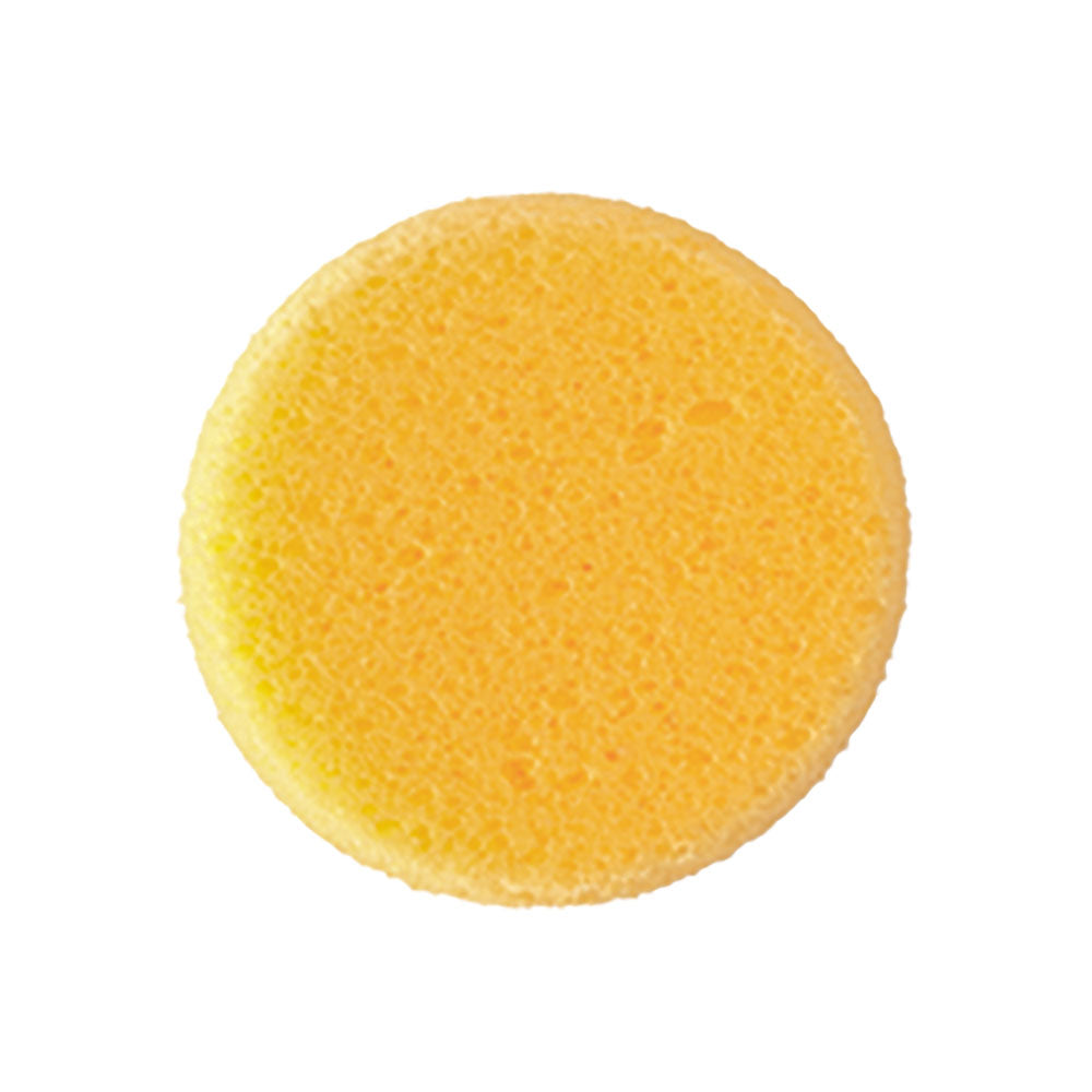 Ben Nye Hydra Sponge Small