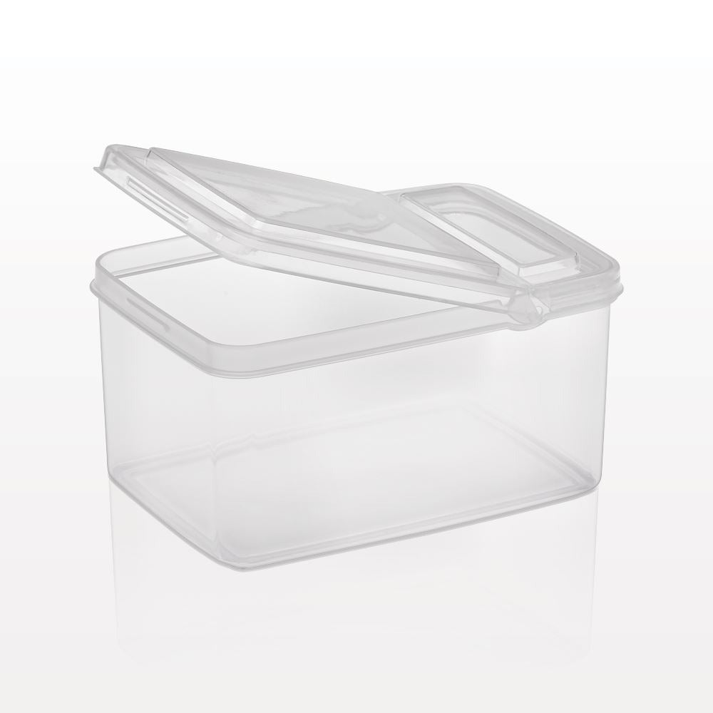 Medium Rectangle Container with Flip Top Lid, Clear
