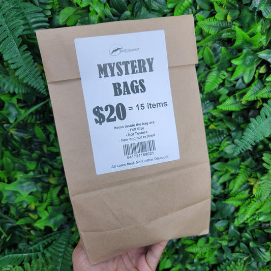 Large Mystery Bag