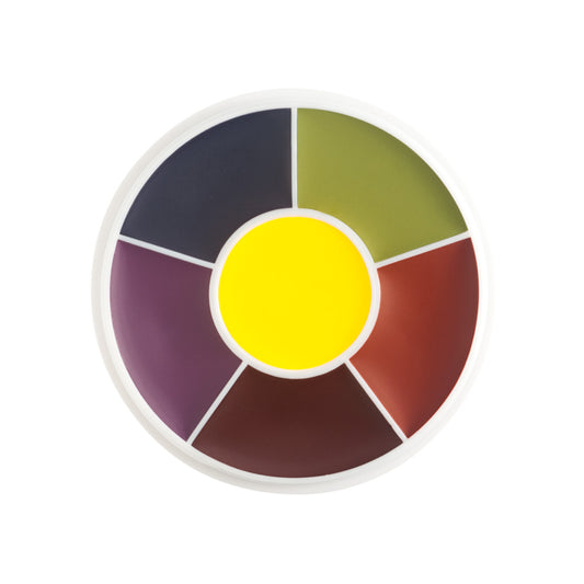 Ben Nye Master Bruise Wheel (6 Color) 1oz. EW4