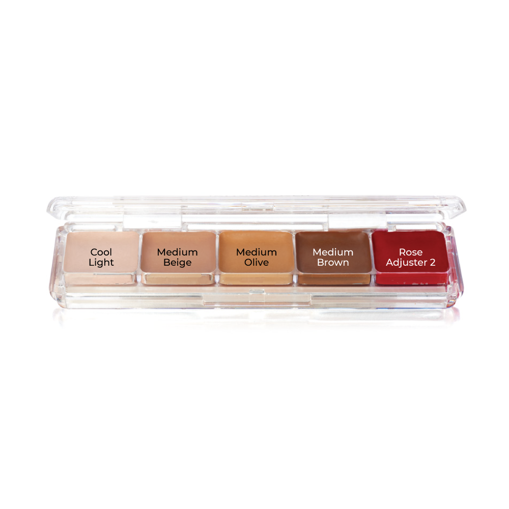 Ben Nye Alcohol Activated Waterproof Palette Tattoo Cover AAP-21