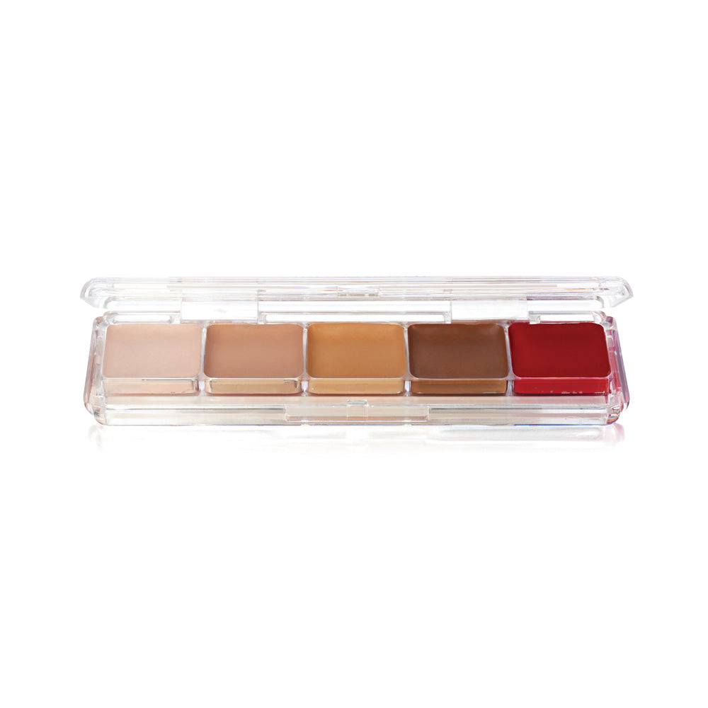Ben Nye Alcohol Activated Waterproof Palette Tattoo Cover AAP-21