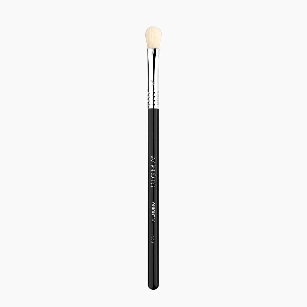 Sigma E25 - Blending Brush